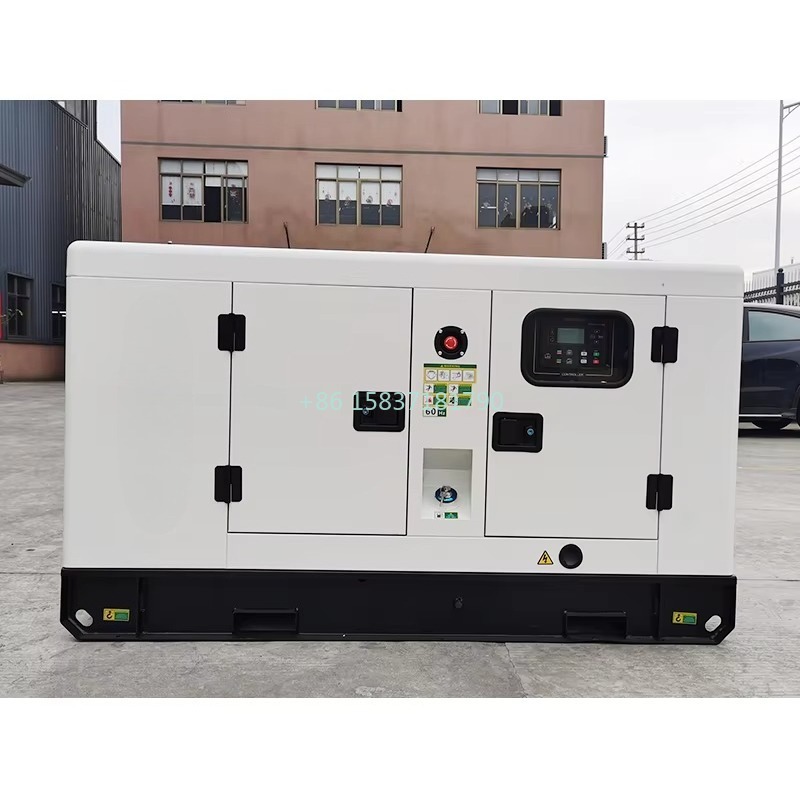 Gruppo Elettrogeno Diesel Sile - Power Tools Manufacturers In China recensione e prezzo